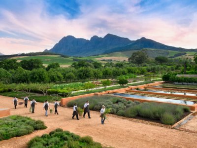 South Africa - Babylonstoren