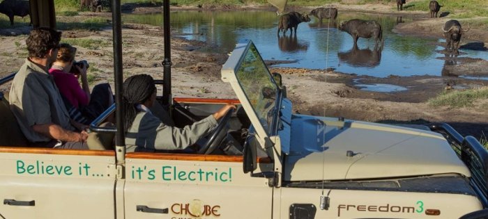 Eco-friendly Game Viewing During YouSouthern African Safari