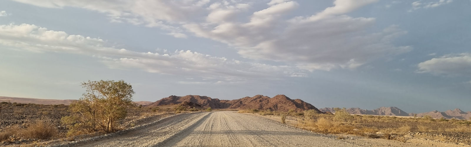 namib desert